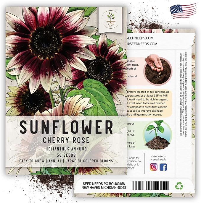 Seed Needs Sunflower Seeds for Planting Cherry Rose Sunflowers - Hybrid Flowers with Unique Bi-Colors for an Outdoors Flower Garden - Great for Cut Flowers in Bouquets & Floral Arrangements (1 Pack)