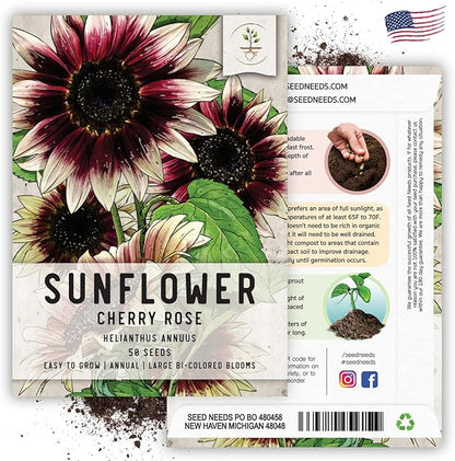 Seed Needs Sunflower Seeds for Planting Cherry Rose Sunflowers - Hybrid Flowers with Unique Bi-Colors for an Outdoors Flower Garden - Great for Cut Flowers in Bouquets & Floral Arrangements (1 Pack)
