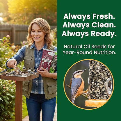 Happy Wings No Grow Bird Seed Mix Pack of 2 (5lb x 2 = 10lb) - Songbird Bird Seed with Sunflower, Safflower & Peanuts - No Mess Birdseed for Outside Feeders - Suitable Birdseed for Wild Birds
