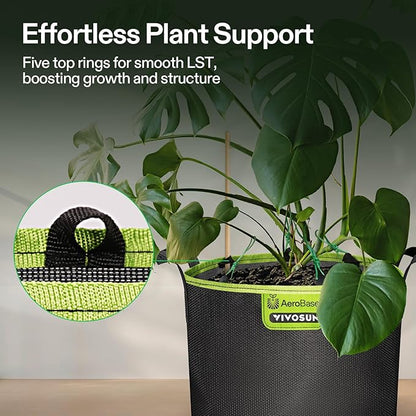 VIVOSUN 6-Pack 3-Gallon AeroBase Grow Bags, Durable Mesh Fabric Plant Container with Breathable Base and Sturdy Handles, Black