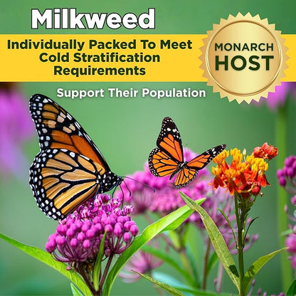Monarch Butterfly Garden Kit with Milkweed Seeds–Perennial Flower Seeds to Plant Outside| 1/4 Pound Pure Bulk Wildflower Seeds | Garden Seeds for Attracting Pollinators | Seed Packets for Spring/Fall