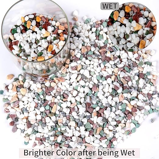 2 Pounds Natural Pea Gravel Pebbles for Plants,1/5 Inch Small Rocks for Succulents and Cactus,Terrarium,Vase,Fish Tank Gravel,Decorative Pebbles for Indoor Plants,Landscape Stones (Mixed)