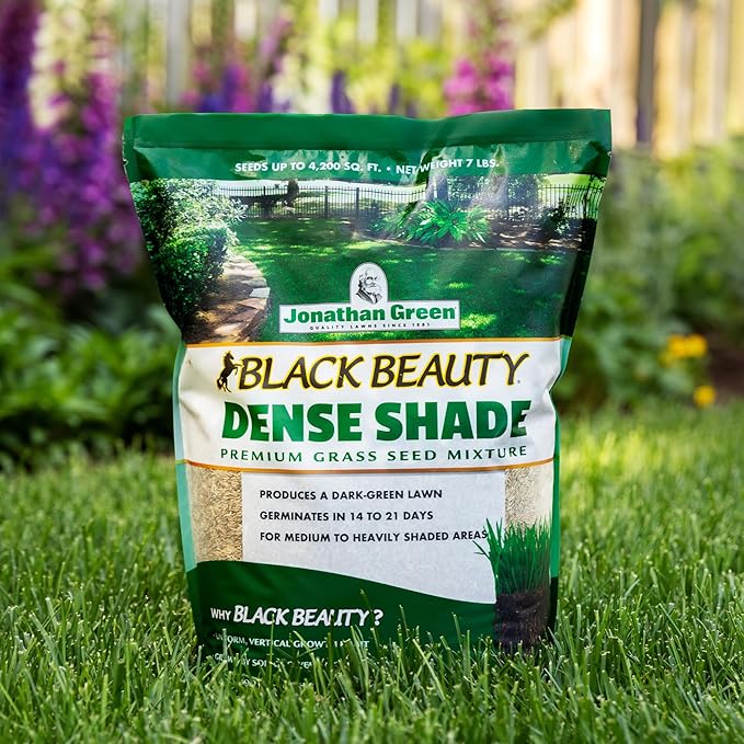 Jonathan Green (10622) Black Beauty Dense Shade Grass Seed - Cool Season Lawn Seed (1 lb)