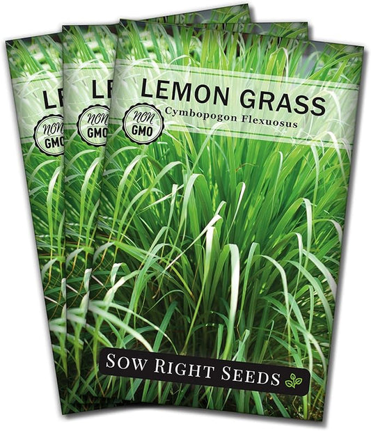 Sow Right Seeds - Lemon Grass Seed for Planting - Non-GMO Heirloom Packet with Instructions for Easy Planting and Growing an Herb Garden - Indoor or Outdoors - Delicious Culinary Herb (3)