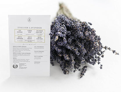 Sereniseed Certified Organic Herb Seeds (20-Pack) – Non GMO, Heirloom – Seed Starting Video