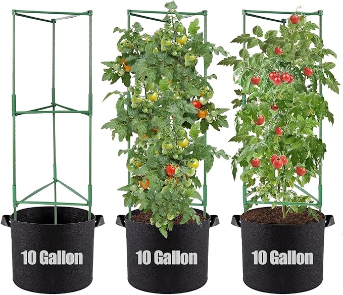 ANPHSIN 3 Sets Tomato Cages with 10 Gallon Grow Bags - 48" Stable Plant Garden Planter, Flowers Vegetable Trellis Pots for Tomato Vertical Climbing Plants Vines