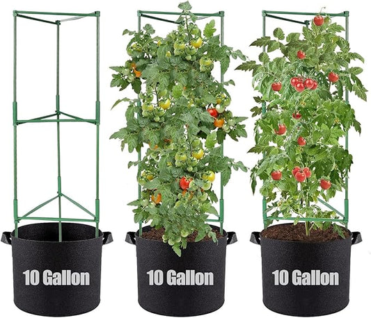 ANPHSIN 3 Sets Tomato Cages with 10 Gallon Grow Bags - 48" Stable Plant Garden Planter, Flowers Vegetable Trellis Pots for Tomato Vertical Climbing Plants Vines