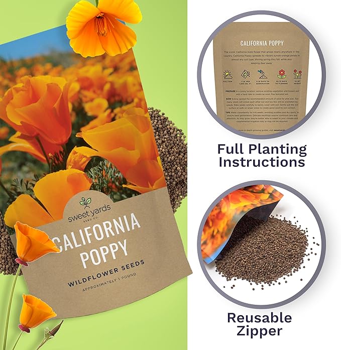 Bulk California Orange Poppy Wildflower Seeds - 1 Pound Bag - Over 320,000 Native Seeds - California State Flower!