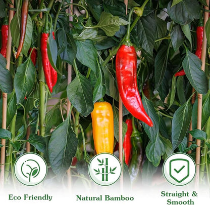 Plant Stakes,20Pcs Bamboo Stakes,4.8 FT Natural Bamboo Plant Support Stakes,Bamboo Stakes for Indoor and Outdoor Plants Tomatoes Beans Flowers Potted Plants Climbing Support