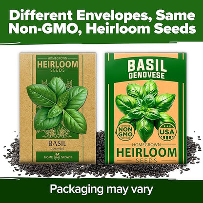 HOME GROWN Non GMO Genovese Basil Seeds Pack 1,750+ High Germination Heirloom Seeds (Ocimum basilicum) Herb Seeds for Planting Indoor & Outdoor Gardening, for Culinary Use
