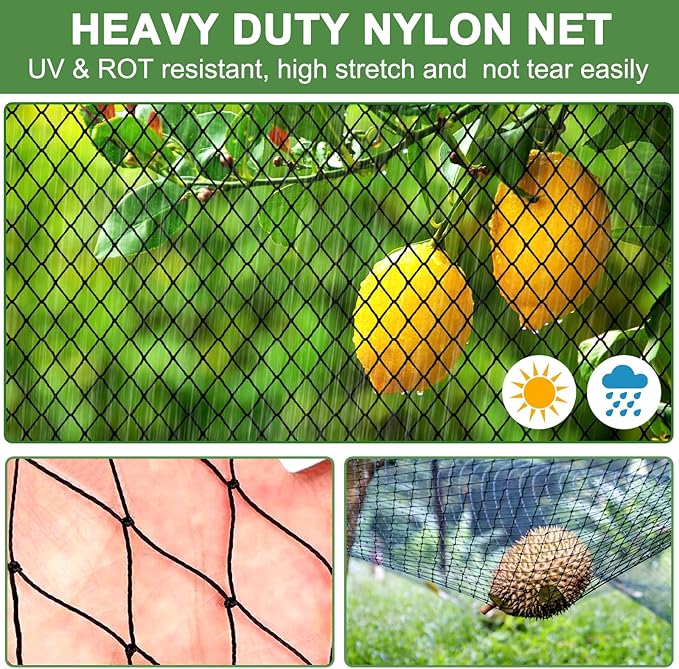 Bird Net - 50' x 50' Garden Netting with 2.4" Square Mesh Protect Fruit Tree, Plant & Vegetables from Poultry, Deer and Pests, Heavy Duty Tree Net for Garden, Farm, Orchard, etc.