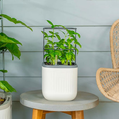 Vego garden Mini Planter Indoor Pots with Trellis Self-Watering Herb Countertop Planter for Climbing Vegetables Flowers Mint Plants Cage- Cream White