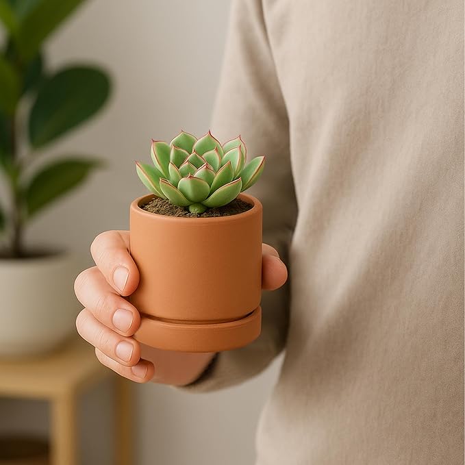 D'vine Dev XX-Small 3 Inch Terracotta Plant Pot with Drainage Hole and Saucer, Round Cylinder Planter Pot for Indoor Plants, Set of 2, 40-X-B-0