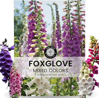Foxglove Mixed Colors – 800 Seeds for Planting – 2026 Season – 5 Gram Pouch