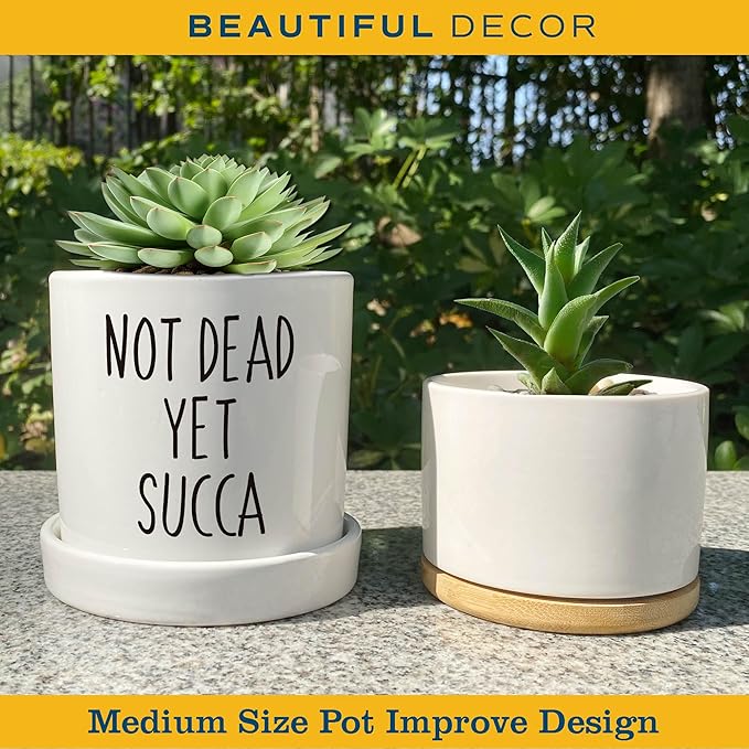 Not Dead Yet Succa - 4.3 inch Funny Succulent Pot, Funny Planter Pots Cactus, Small Plant Pots with Drainage Hole, Home Office Windowsill Pot Decor