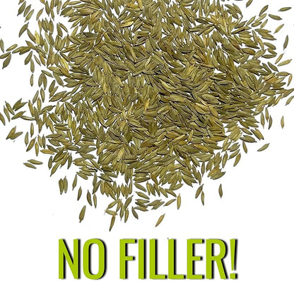 Seed Needs Dandelion Seeds for Planting Fresh Herbs | 10,000+ Untreated Seeds Non GMO Heirloom | Bulk Dandelion Seed | Herb Garden Variety Produces Edible Plants