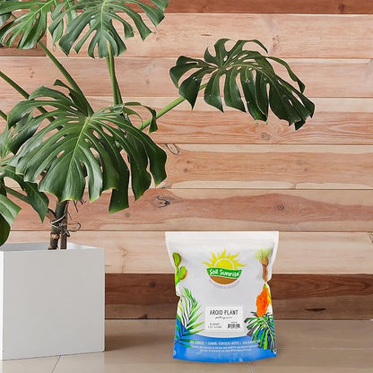 Soil Sunrise Aroid Plant Potting Soil Mix (8 Quarts) for Pothos Devil's Ivy, ZZ Plant, Chinese Evergreen, Dumb Cane Philodendron, Syngonium, Alocasia, Colocasia Etc.