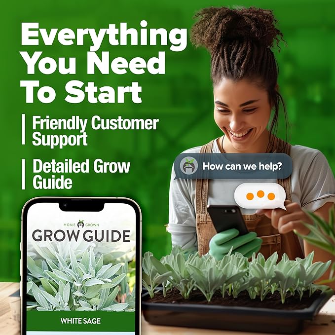 HOME GROWN Non GMO White Sage Seeds 323 Pack Heirloom Seeds - Grow Aromatic Sage Plants for Your Herb Seeds Garden with Sage for Planting Outdoor or Indoor (Salvia apiana)