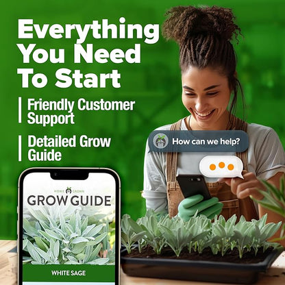HOME GROWN Non GMO White Sage Seeds 323 Pack Heirloom Seeds - Grow Aromatic Sage Plants for Your Herb Seeds Garden with Sage for Planting Outdoor or Indoor (Salvia apiana)