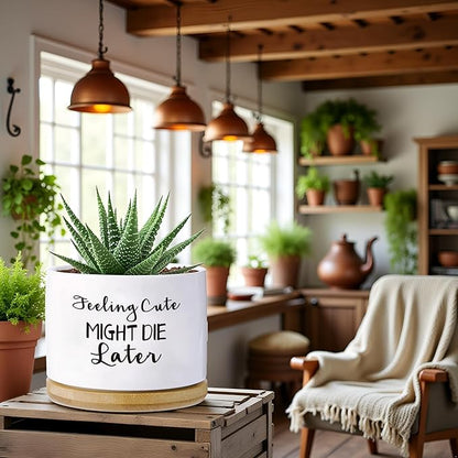 Funny planters for Indoor Plants Garden Succulent Pots, with Drainage Holes and Saucer(No Plants) (Feeling Cute Might Die Later)