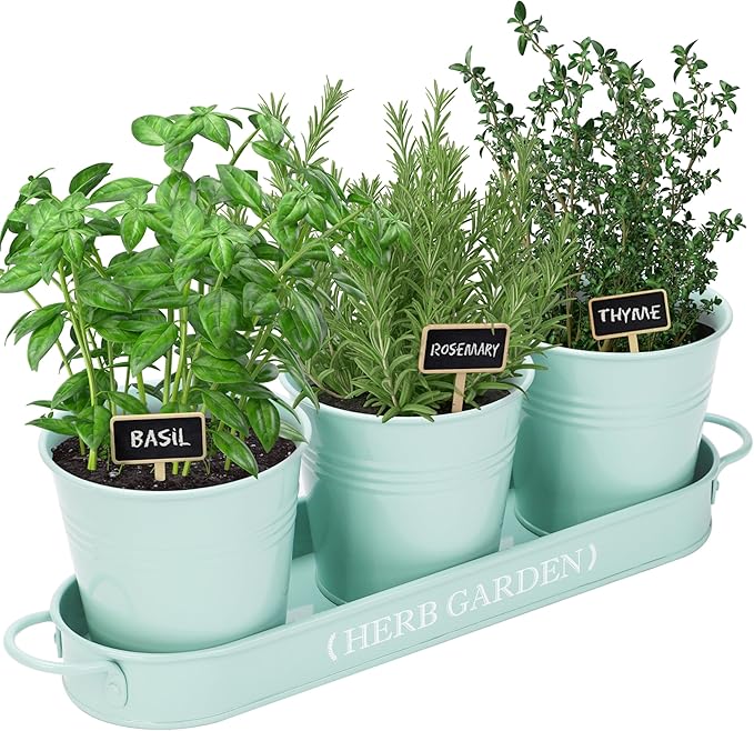 PERFNIQUE Indoor Herb Garden, Herb Planter for Indoor/Outdoor, Farmhouse Plant Pots, Windowsill Herb Garden with Tray(Planter only) Window Pots