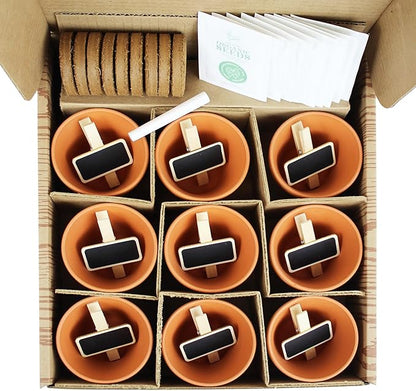 BUZZY Seeds Apothecary Garden Wellness Kit with 9 Varieties of Non-GMO Flower and Herb Seeds, Terracotta Pots, Growing Medium, and Plant Markers, a Self-Care Gift for Holistic Living