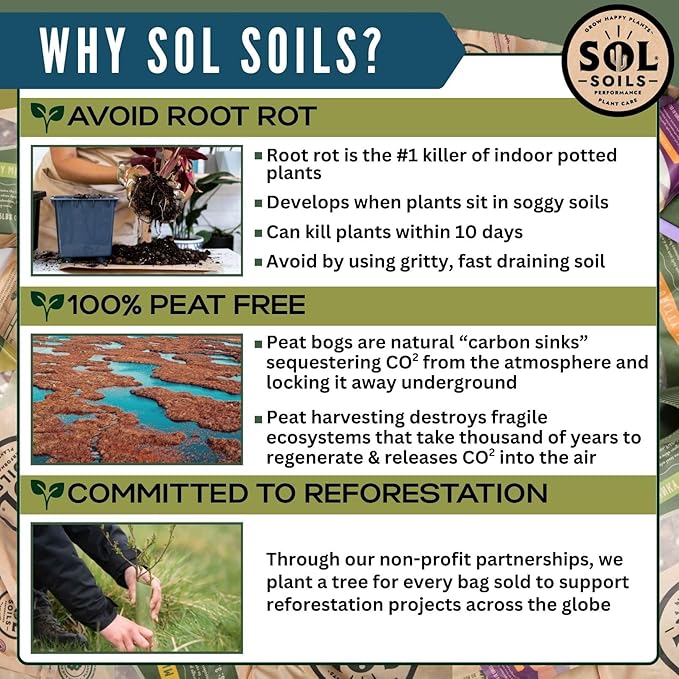 Sol Soils Chunky Perlite for Plants - Lightweight, All-Natural Volcanic Glass Soil Amendment to Improve Drainage & Aeration – 2 Quarts
