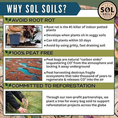 Sol Soils Calcined Clay – 100% Peat-Free Soil Amendments with Superior Drainage, Aeration, & Root Health for Indoor Plants, Succulents, Bonsai & More - 1 Quart