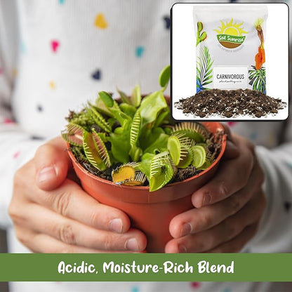 Soil Sunrise Carnivorous Plant Potting Soil Mix (1 Quart) Ideal Additive for Venus Fly Traps, Sundews, and Pitcher Plants