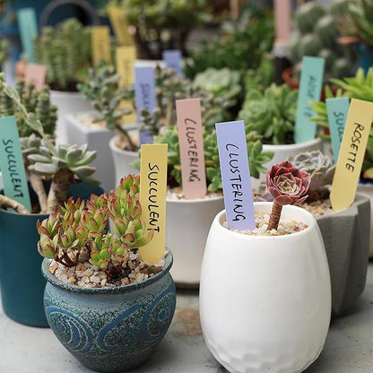 Mr. Pen- Plastic Plant Labels, 100 Pcs, 4", Pastel Colors Plant Markers, Tags, Garden Labels, Waterproof Markers for Outdoor Garden, Planting Sticks for Seeds