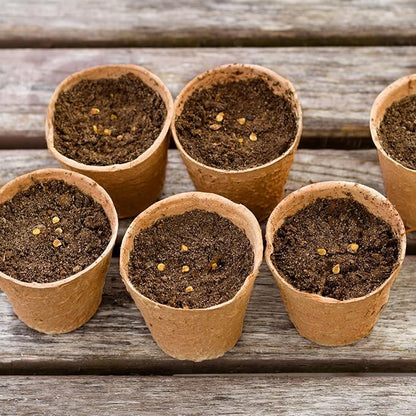 Envirenet Coco Coir Seed Starter Pots - 100% Biodegradable Indoor/Outdoor Garden Pots with Wood Markers - Seedling & Herb Starters (4 Inches, 12 Pack)