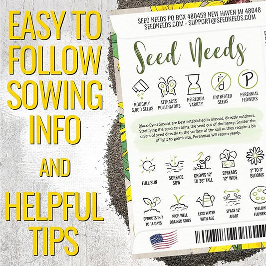 Seed Needs Black Eyed Susan Seeds for Planting | 120,000+ Seeds Rudbeckia Hirta Perennial Yellow Flowers | Bulk 1.4 Ounce Resealable Pouch | Black-Eyed Susan Garden Favorite