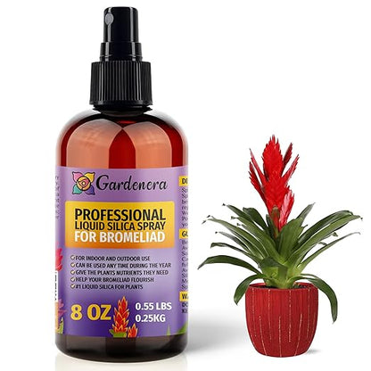 𝐒𝐔𝐏𝐄𝐑𝐈𝐎𝐑 Liquid Silica Boost Fertilizer and Supplement Spray for BROMELIAD Plants – Pre-Mixed, Ready-to-Use Liquid Silicon Plant Superfood Mist for Indoor & Outdoor Plants – 8oz