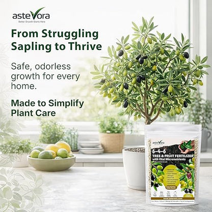 Olive Tree Fertilizer – Fruit Tree Fertilizer for Olive Tree, Citrus, Lemon, Lime, Fig, Avocado, Mango, Apple & Pomegranate – for Potted & Outdoor Trees (1 Quart - 2 lbs.)