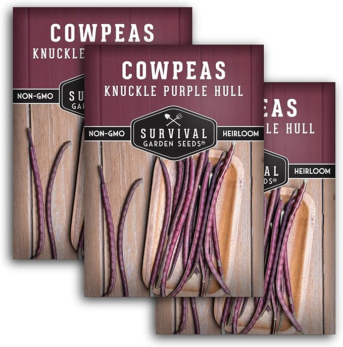 Knuckle Purple Hull Pea Seeds for Planting – Heirloom Southern Field Peas – Drought-Tolerant, High-Yield Crowder-Type Cowpea for Home Gardens – Survival Garden Seeds (3 Pack)