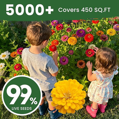5000+ Zinnia Seeds Flower Seeds for 2026 Planting, 1.5 Oz, 5 Varieties (Pink, Yellow, Orange, White, Purple), 40G Mixed Colors and Large Blooms, Open Pollinated - Bulk (1.5 Ounce Pouch)