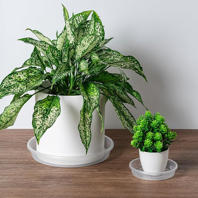 Plant Saucer - 6 Pack 14 Inch Plastic Plant Trays for Pots with Plant Tray Design - Plant Saucers for Indoors and Outdoors Use - Plastic Plant Pot Saucer for Potted Plants - Flower Pot Saucers