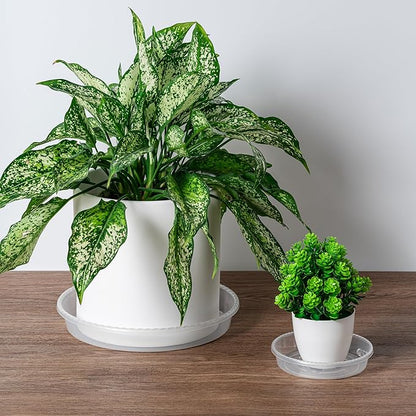Hoewina Plant Saucer - 6 Pack 12 Inch Durable Plastic Plant Trays with Plant Tray Design - Clear Plant Saucers for Indoors and Outdoors Use - Plastic Plant Pot Saucer for Potted Plants