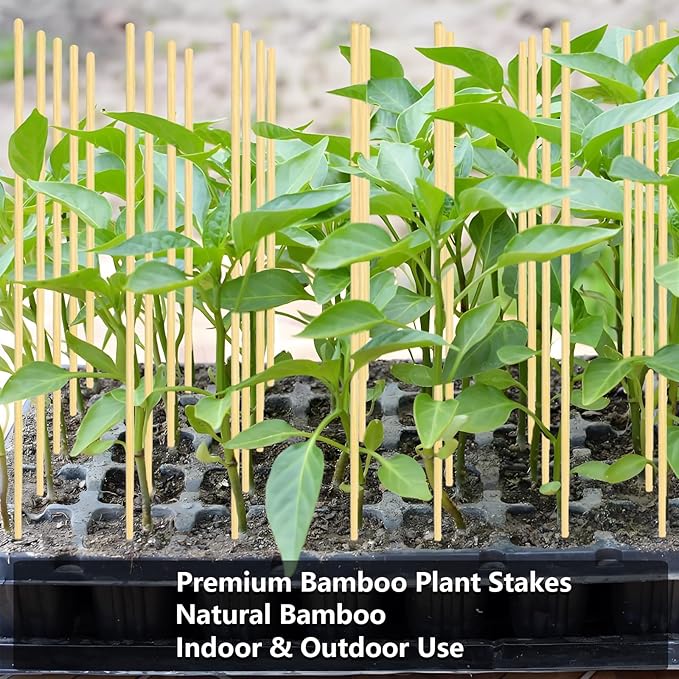 125Pcs 2.5ft/30in Bamboo Plant Stakes, Garden Stakes, Bamboo Stakes for Tomato, Beans, Potted Plants, Smores Sticks for Fire Pit, Natural Support for Gardening, BBQ, Camping, Home Cooking