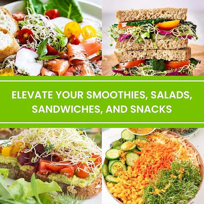 Premium USA Alfalfa Seeds for Sprouting & Microgreens with High Germination Rate. (4oz)