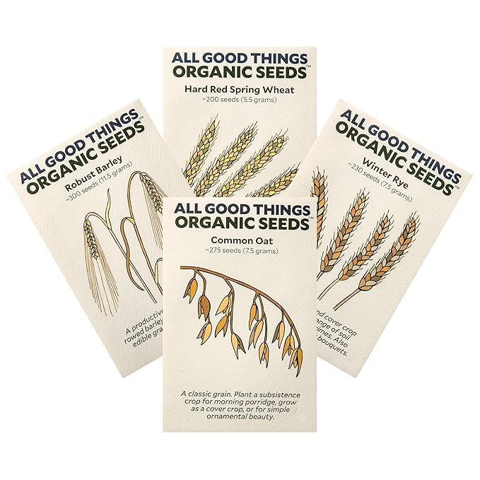 All Good Things Organic Great Grains Seeds for Planting: 4 Packet Collection - Barley, Oat, Rye, Wheat - Heirloom Variety Pack