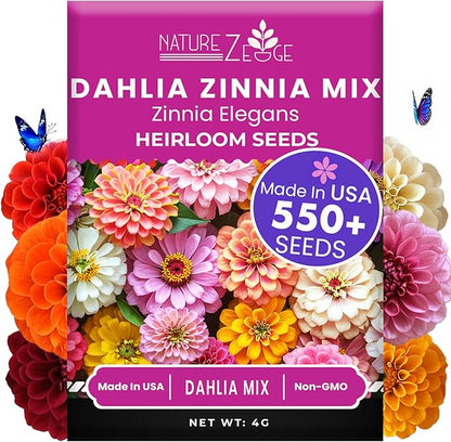 NatureZ Edge Zinnia Seeds for 2026 Planting Outdoors, Over 550 Flower Seeds, 4g, Non GMO Made in USA, Bulk Semillas De Flores para Sembrar, Dahlia Mix, Easy to Grow Zinnia Seed Mix