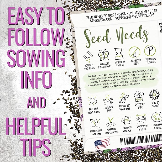 Seed Needs Bee Balm Seeds for Planting Wild Bergamot - Heirloom & Open Pollinated Perennial Flowers to Grow a Butterfly Garden to Attract Bees, Butterflies & Other Pollinators (1 Pack)