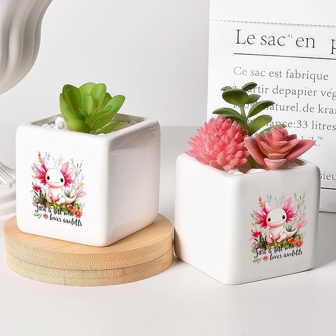 Axolotl Succulent Planter Flower Plant Pot Small, Gifts for Women Teens Girls Kids, Axolotl Lovers Themed Stuff Accessories Things Decor Merch, Home Office Table Desk Decoration!