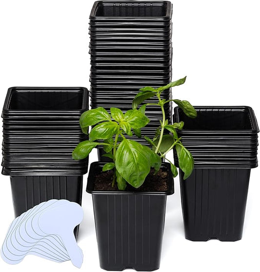 CARPATHEN 60Pack Square Nursery Pots - 3.5 Inch Seedling Plant Pot with Drainage Holes - Reusable Seed Starter Pots for Flowers, Vegetables, Greens - Includes 10 Plastic Reusable Tags