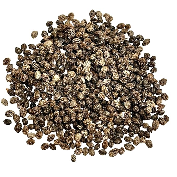 Papaya Seeds, Dried Whole Seeds, 2 oz (56 g), Raw, Natural (2 ounces (56 grams))