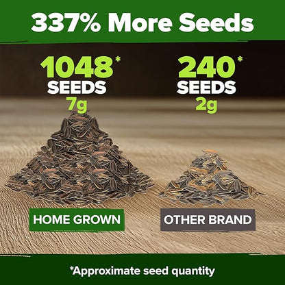 HOME GROWN USA Premium Zinnia Dahlia Seeds Pack for 2026,1048 Non-GMO Flower Seeds, Vibrant Zinnia Elegans for Planting Pollinator Gardens, Borders & Containers, Easy-to-Grow Outdoor Blooms