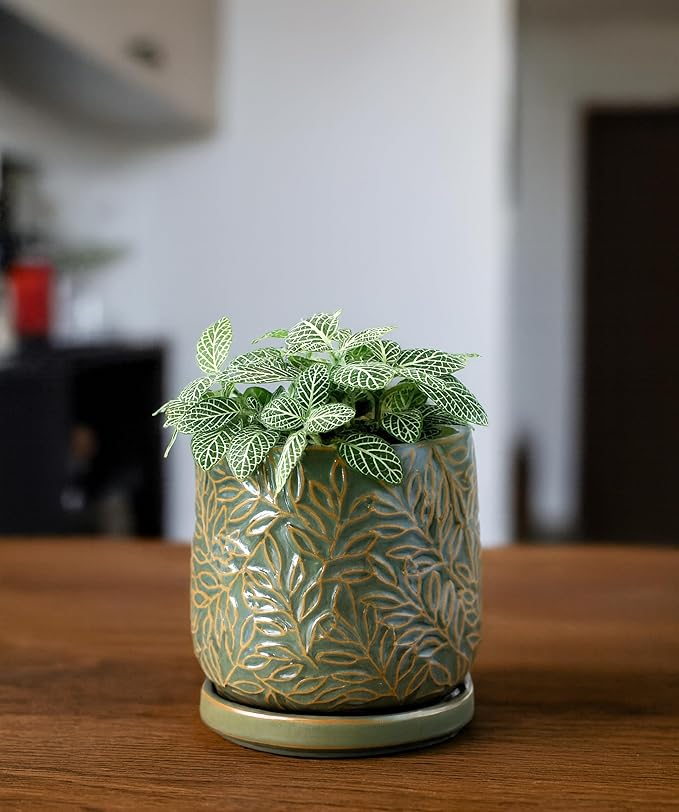 D'vine Dev 4 Inch Embossed Leaves Stoneware Planter Pot with Drainage Hole and Saucer, Olive, 27-A-Z-0