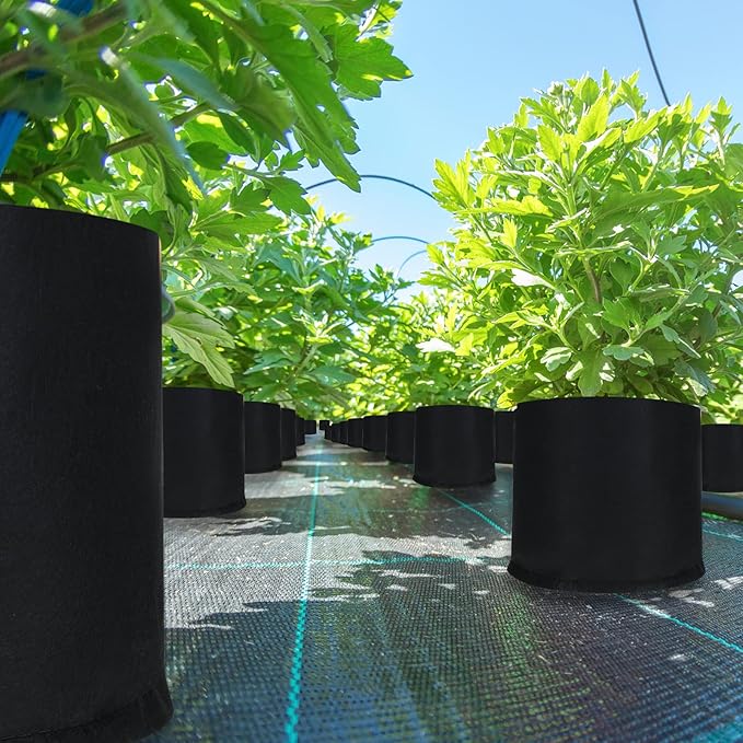 Zubebe 60 Pack Plant Grow Bags Bulk Garden Bags Aeration Grow Pots Heavy Duty Thickened Nonwoven Fabric Plant Pots Black Planting Container for Potato Tomato Vegetable Flower Fruits (3 Gallon)