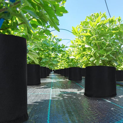 Zubebe 60 Pack Plant Grow Bags Bulk Garden Bags Aeration Grow Pots Heavy Duty Thickened Nonwoven Fabric Plant Pots Black Planting Container for Potato Tomato Vegetable Flower Fruits (3 Gallon)